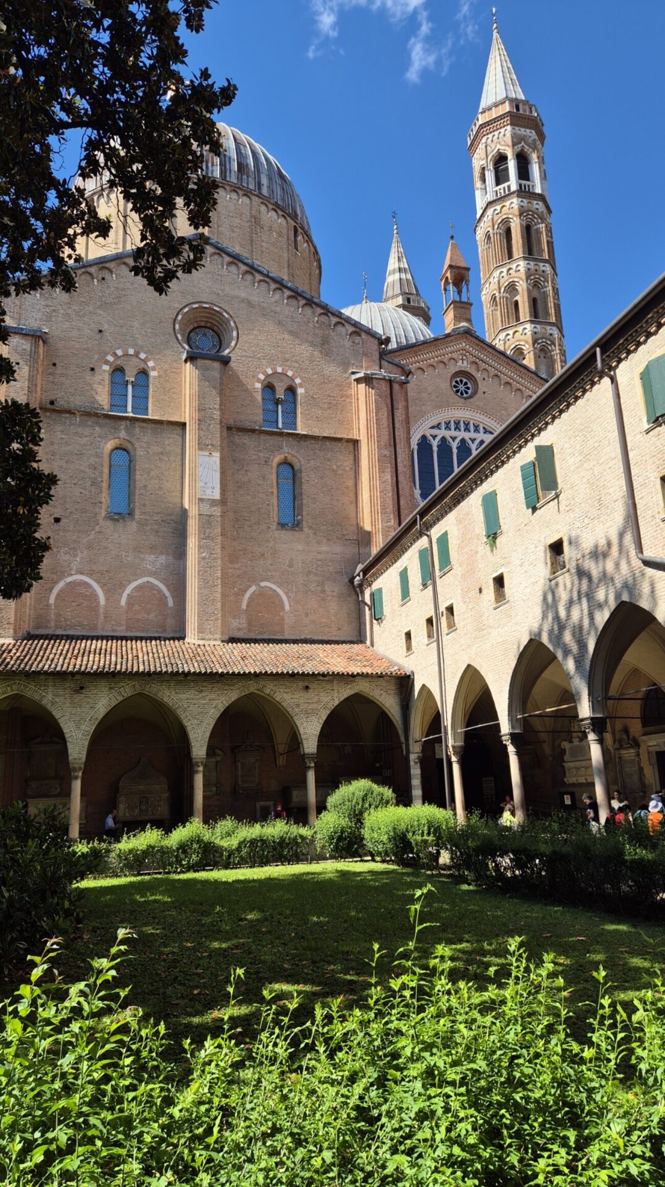 20240613_155457 20240613_155457