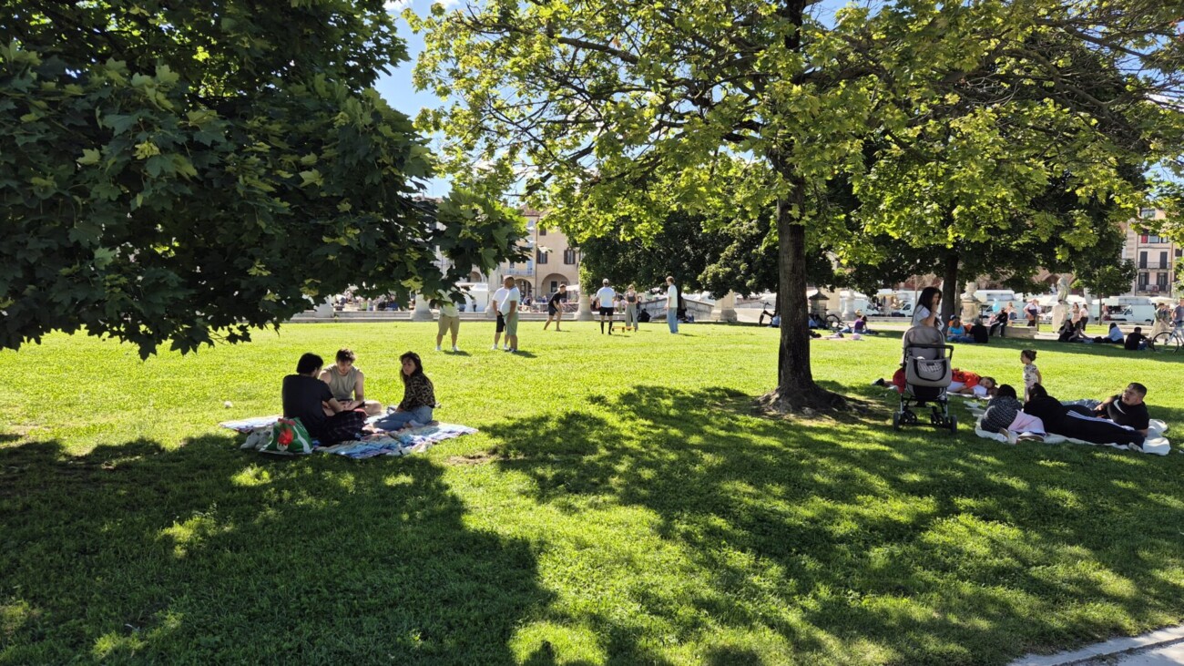 20240613_163838 20240613_163838