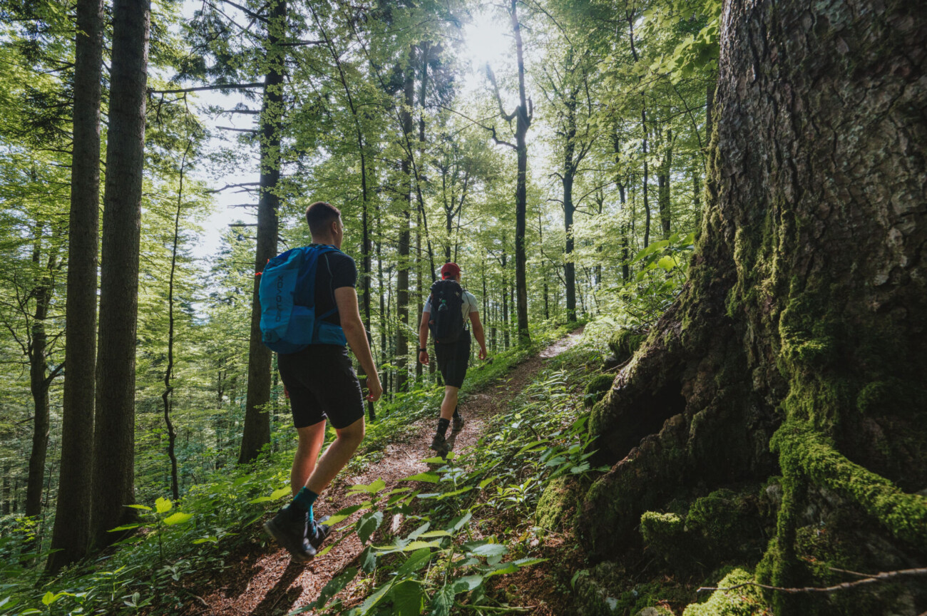 2Japlenški vrh_Mario Jurina 2Japlenški vrh_Mario Jurina