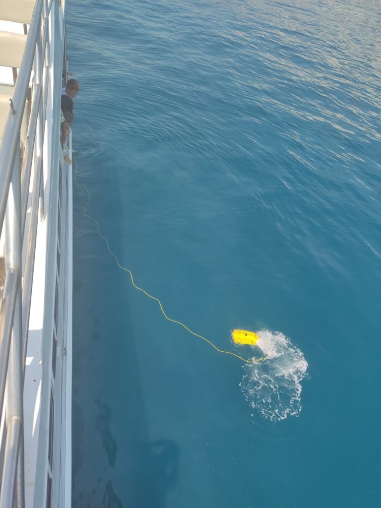 IMG-1c46e7fbd388a5dd04d1aa335cab6ea4-V-768×1024 IMG-1c46e7fbd388a5dd04d1aa335cab6ea4-V-768×1024