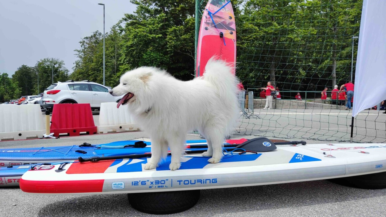 IMG_20240609_115137 IMG_20240609_115137