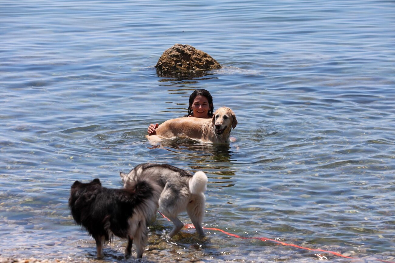 Rijeka: Gra?ani se na razne na?ine tite od topline