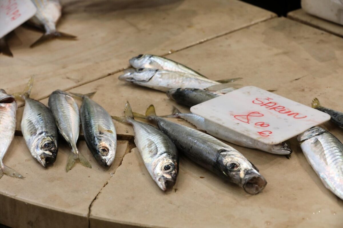Rijeka: Bogata ponuda ribe na rije?koj ribarnici