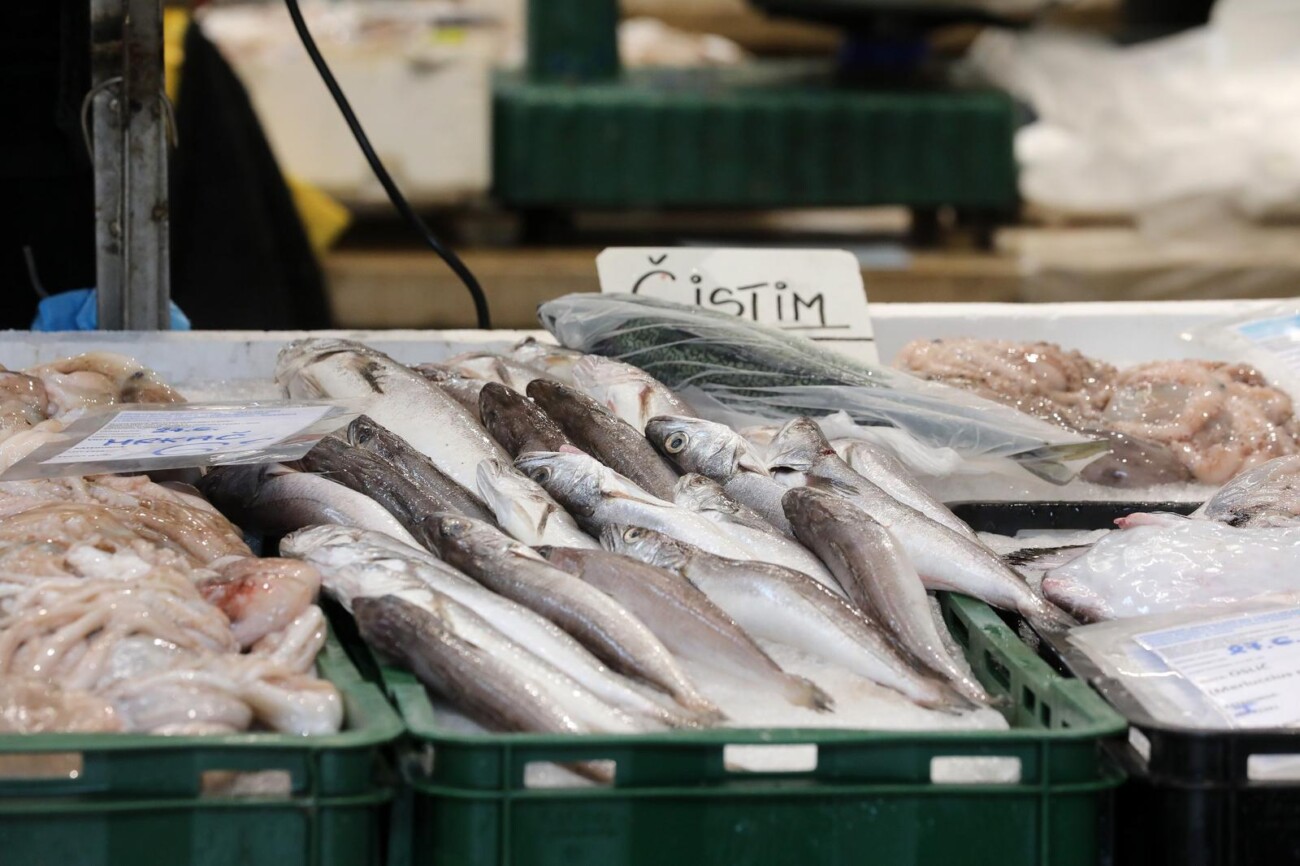 Rijeka: Bogata ponuda ribe na riječkoj ribarnici