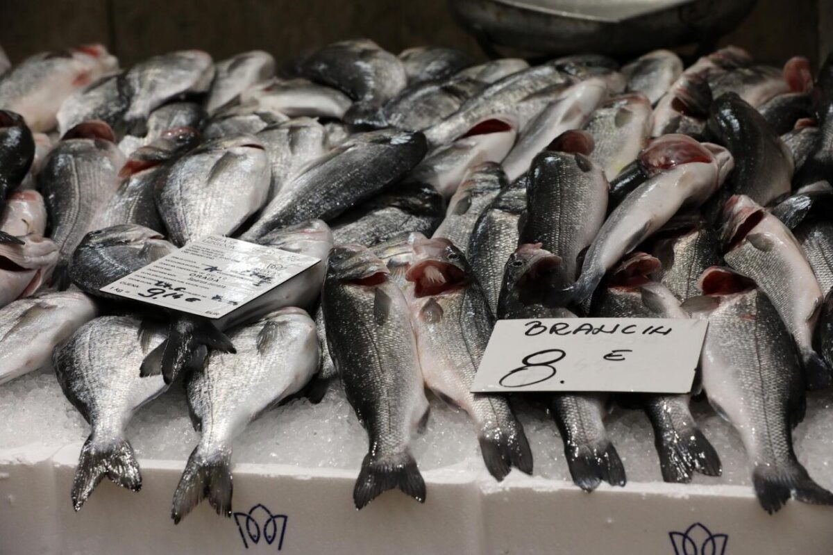 Rijeka: Bogata ponuda ribe na riječkoj ribarnici