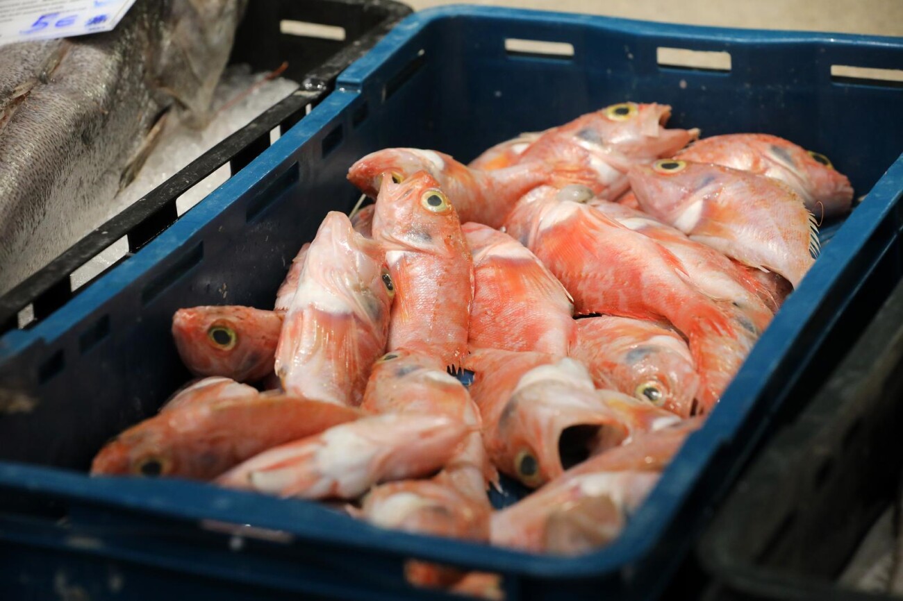 Rijeka: Bogata ponuda ribe na rije?koj ribarnici