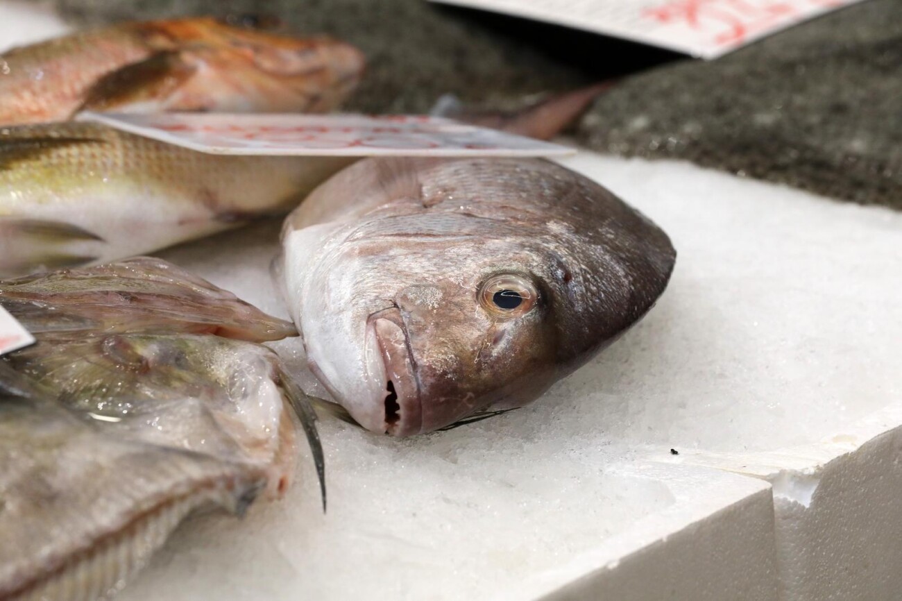 Rijeka: Bogata ponuda ribe na riječkoj ribarnici