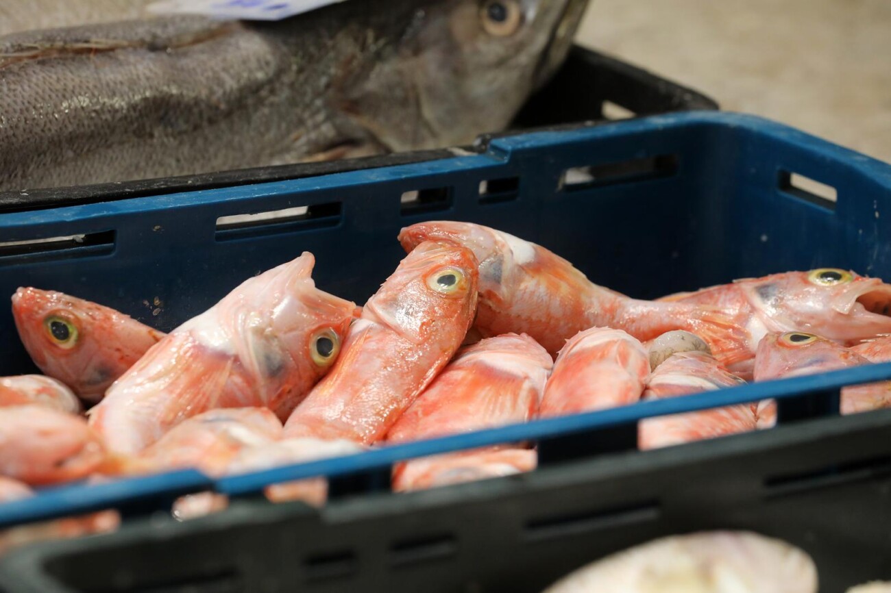 Rijeka: Bogata ponuda ribe na rije?koj ribarnici