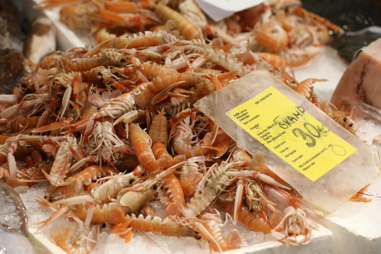 Rijeka: Bogata ponuda ribe na rije?koj ribarnici