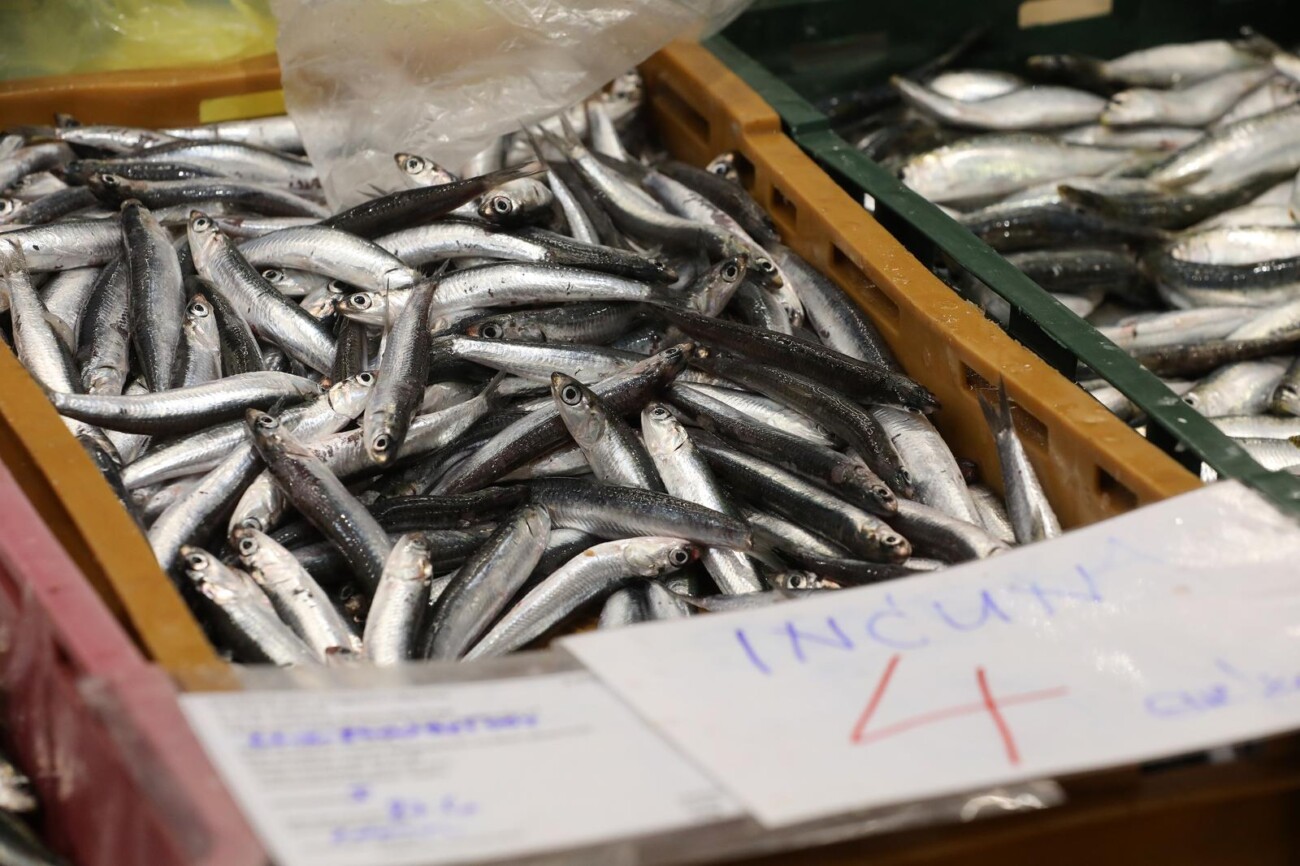 Rijeka: Bogata ponuda ribe na rije?koj ribarnici