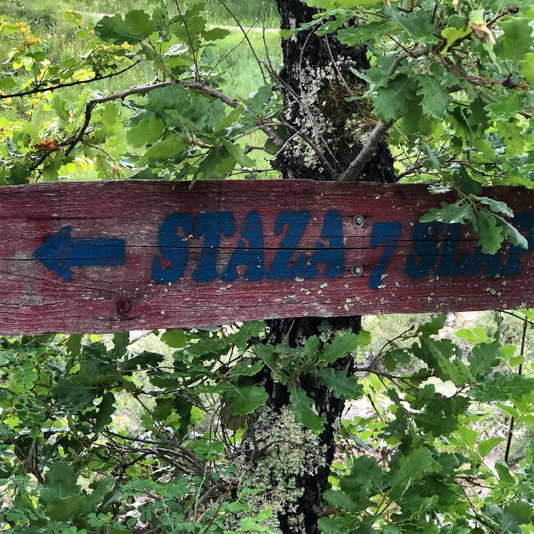 Snapinsta.app_103605236_2482867765288411_7014725619728935382_n_1080