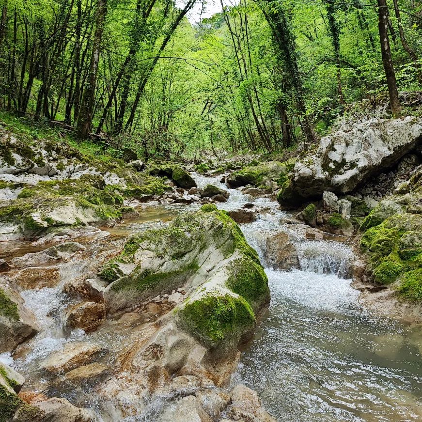 Snapinsta.app_343752045_1957273837945877_8869033103059612017_n_1080