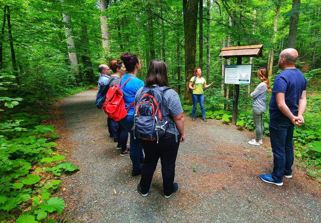 Vođena šetnja_Lynx and Fox Vođena šetnja_Lynx and Fox