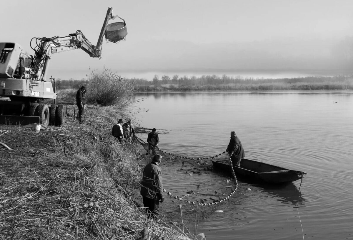 Biljana-Latinović-Izlov-ribe-Prnjavor-BiH-Fotoklub-Šimanovci