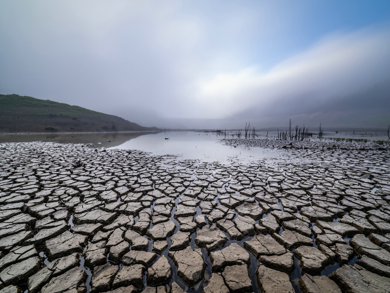 Emil Požar Maglica Emil Požar Maglica