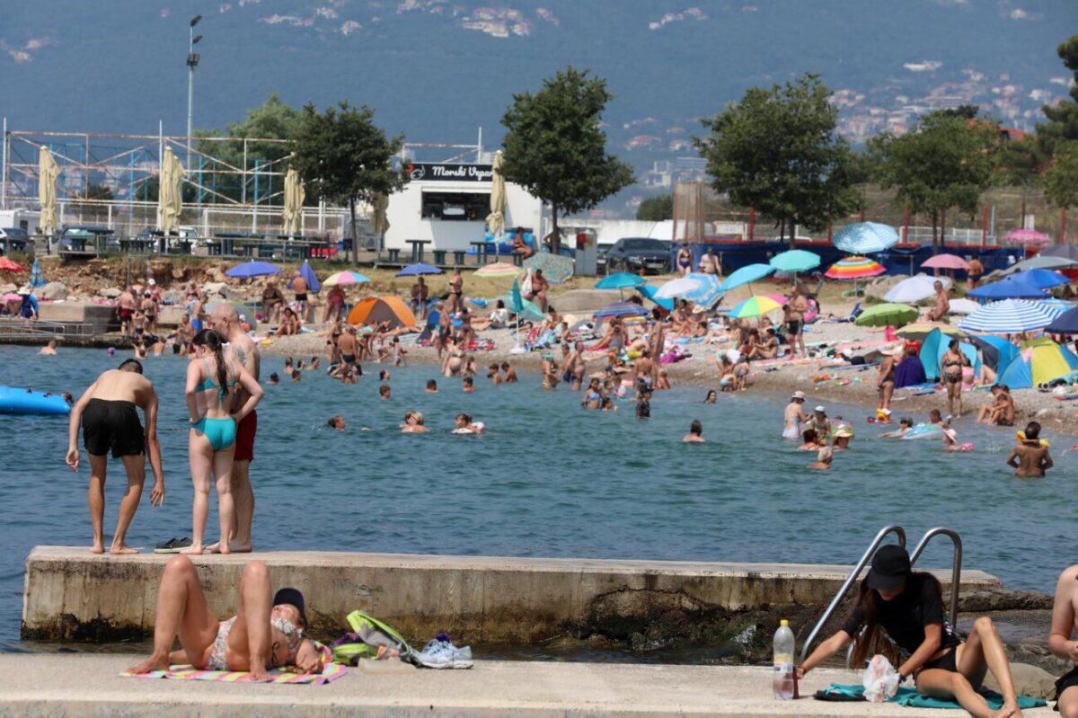 Rijeka: Mravinjak na plai pod stadionom na Kantridi