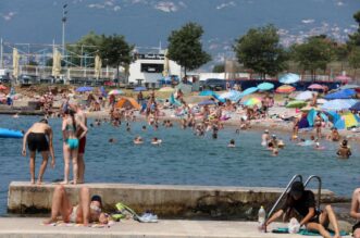 Rijeka: Mravinjak na plai pod stadionom na Kantridi