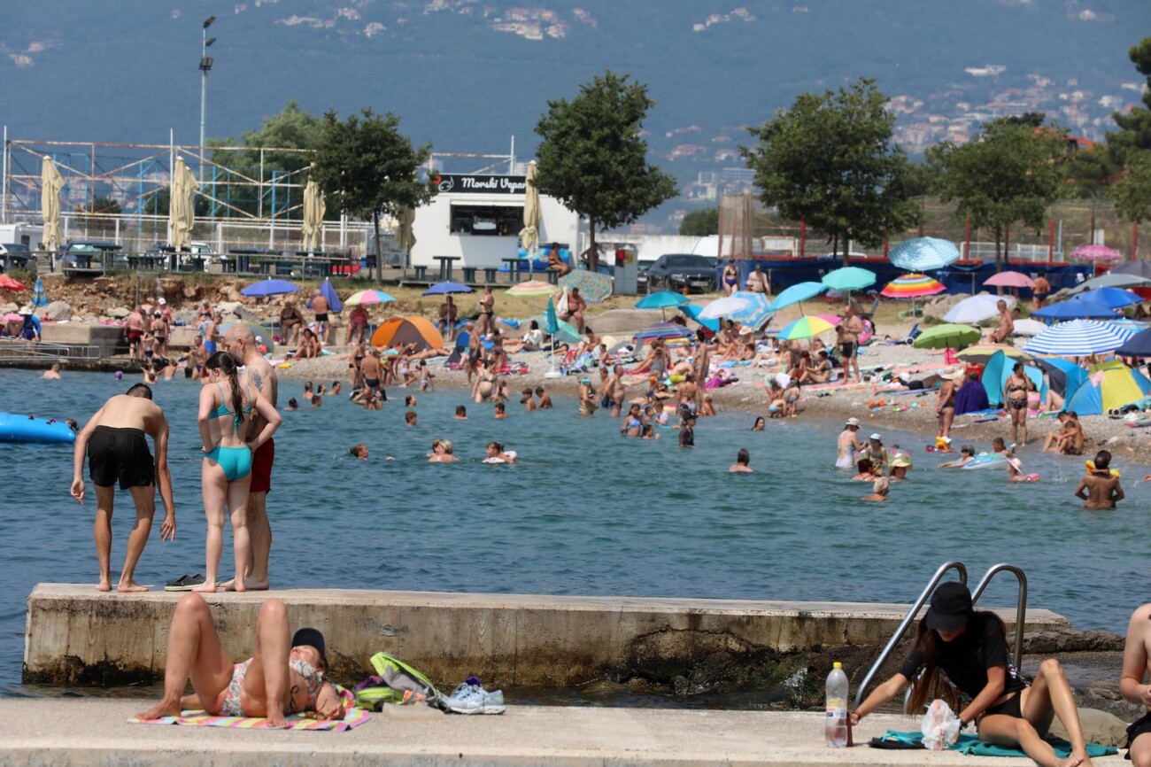 Rijeka: Mravinjak na plai pod stadionom na Kantridi