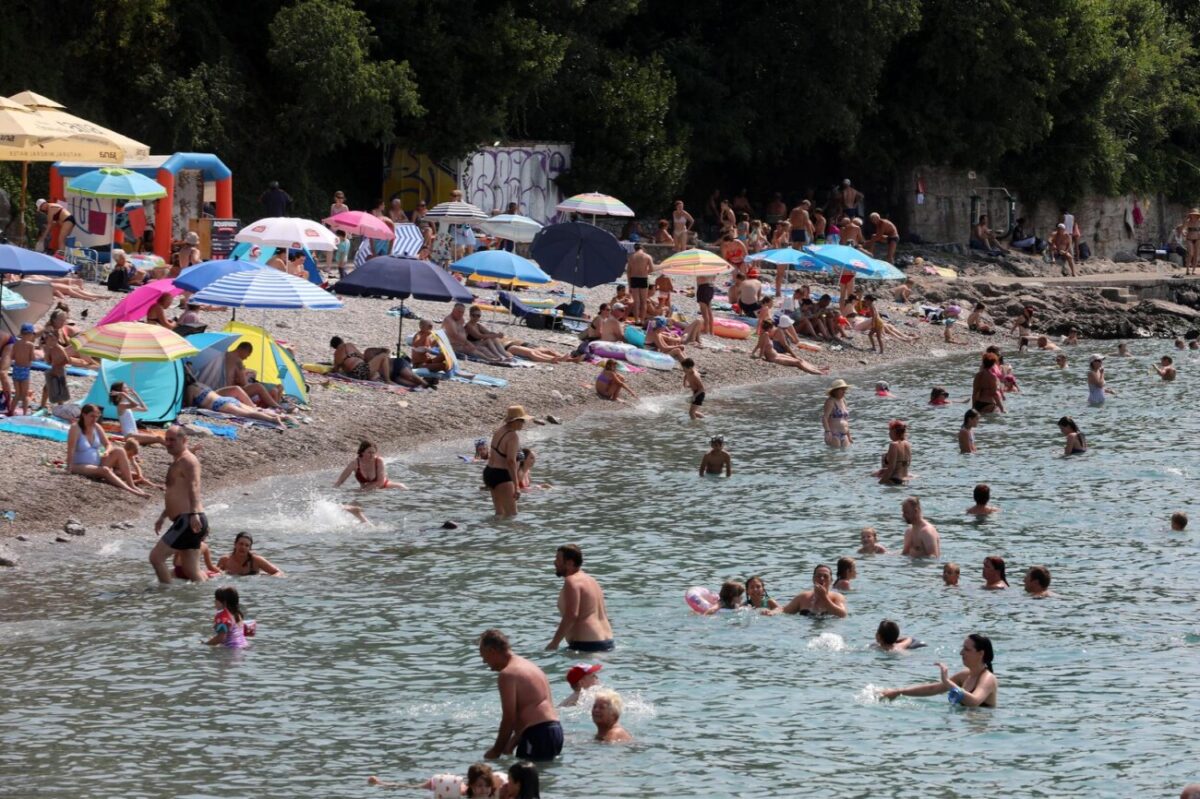 Rijeka: Mravinjak na plaži pod stadionom na Kantridi