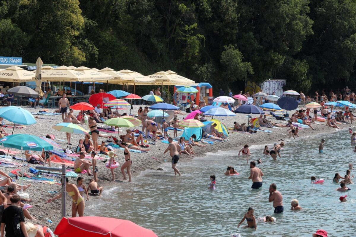 Rijeka: Mravinjak na plaži pod stadionom na Kantridi