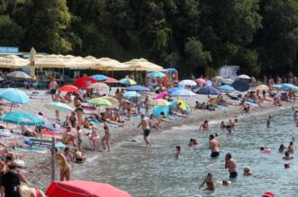 Rijeka: Mravinjak na plaži pod stadionom na Kantridi