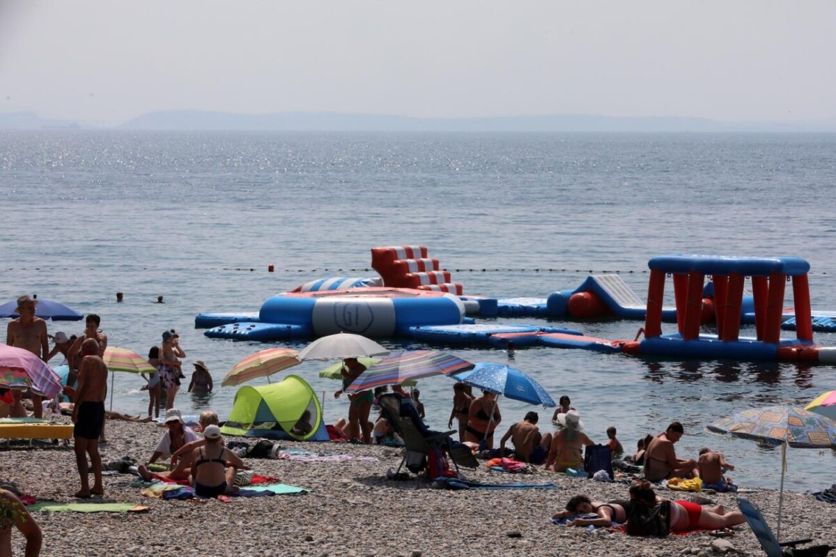 Rijeka: Mravinjak na plai pod stadionom na Kantridi