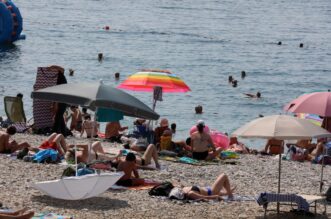 Rijeka: Mravinjak na plaži pod stadionom na Kantridi