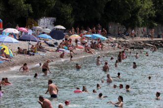 Rijeka: Mravinjak na plai pod stadionom na Kantridi