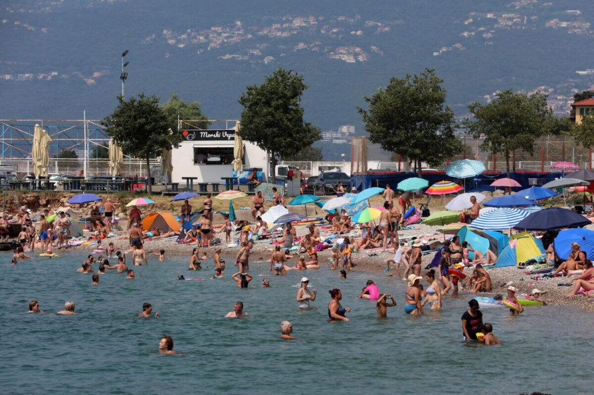 Rijeka: Mravinjak na plaži pod stadionom na Kantridi