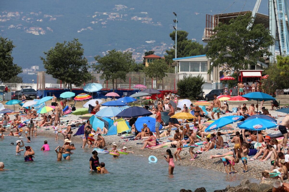 Rijeka: Mravinjak na plaži pod stadionom na Kantridi