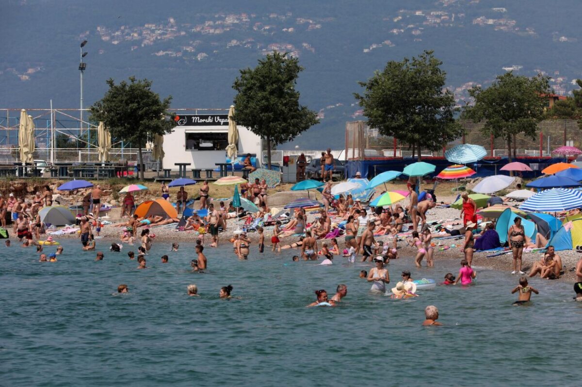 Rijeka: Mravinjak na plaži pod stadionom na Kantridi