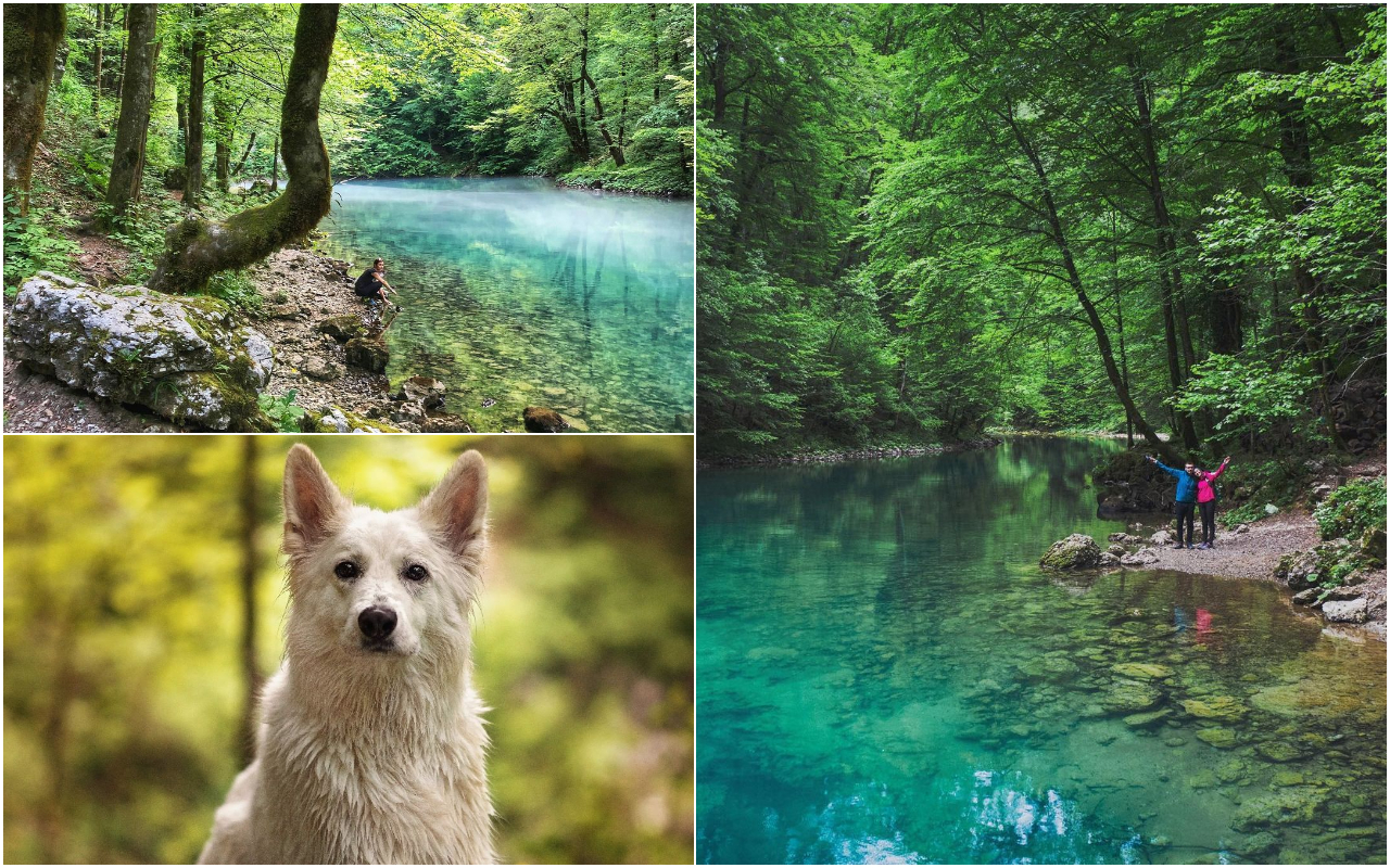 FotoJet (5) FotoJet (5)