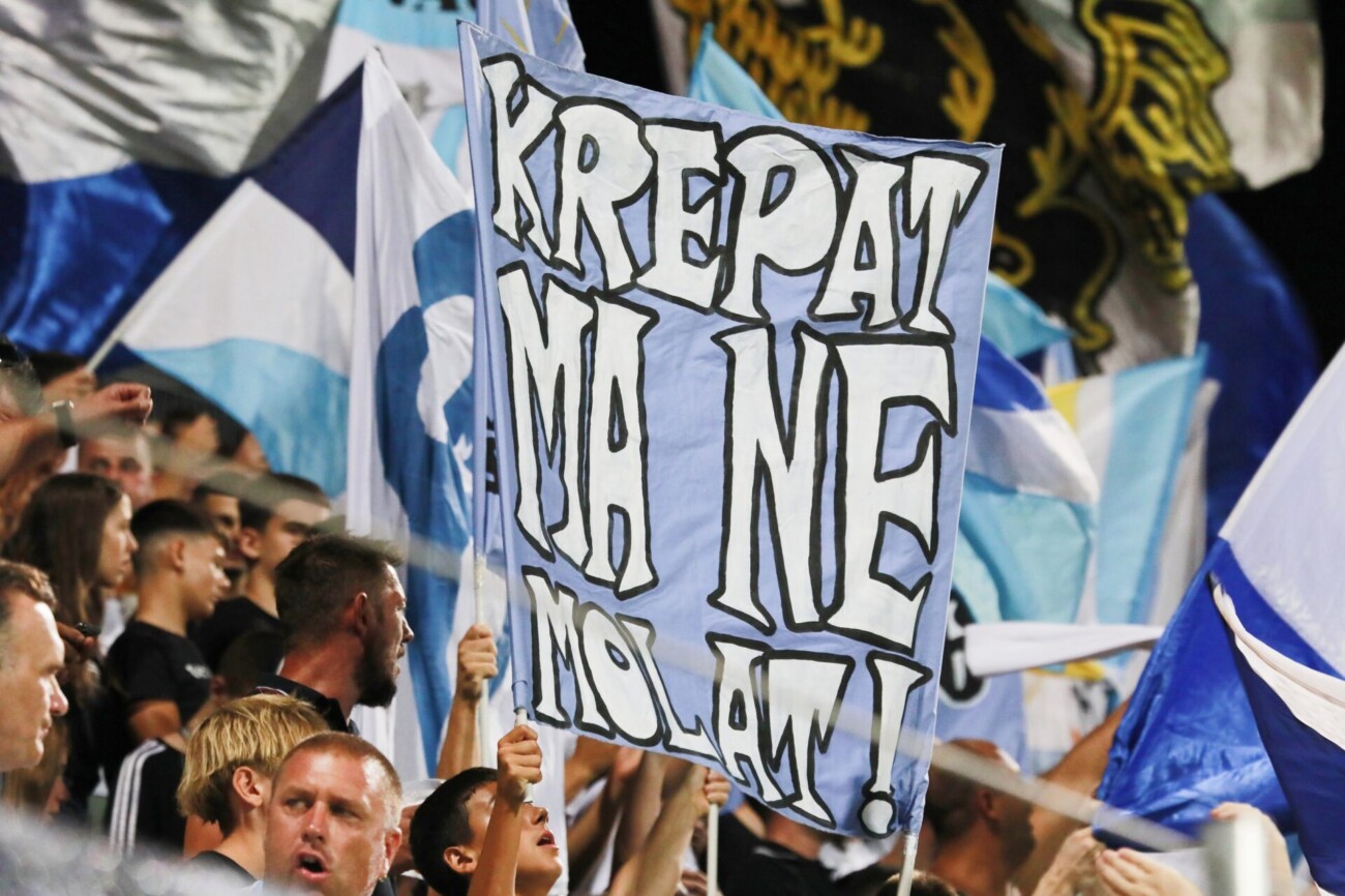 IMG_20240822_211923 IMG_20240822_211923