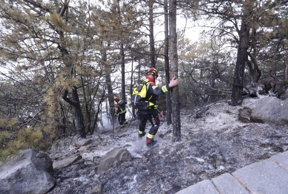 Makarska: Vatrogasci na zgarištu u parku prirode Biokovo