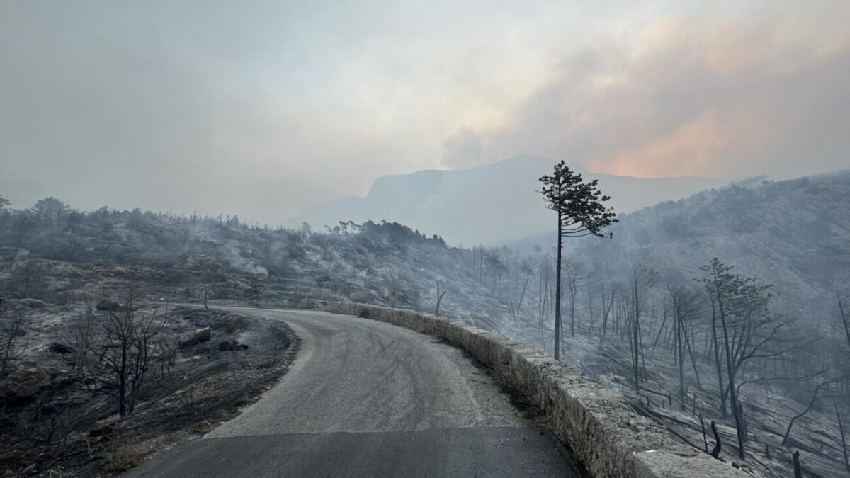 Makarska: Opožareno područje Parka prirode Biokovo