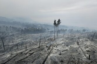 Makarska: Opožareno područje Parka prirode Biokovo