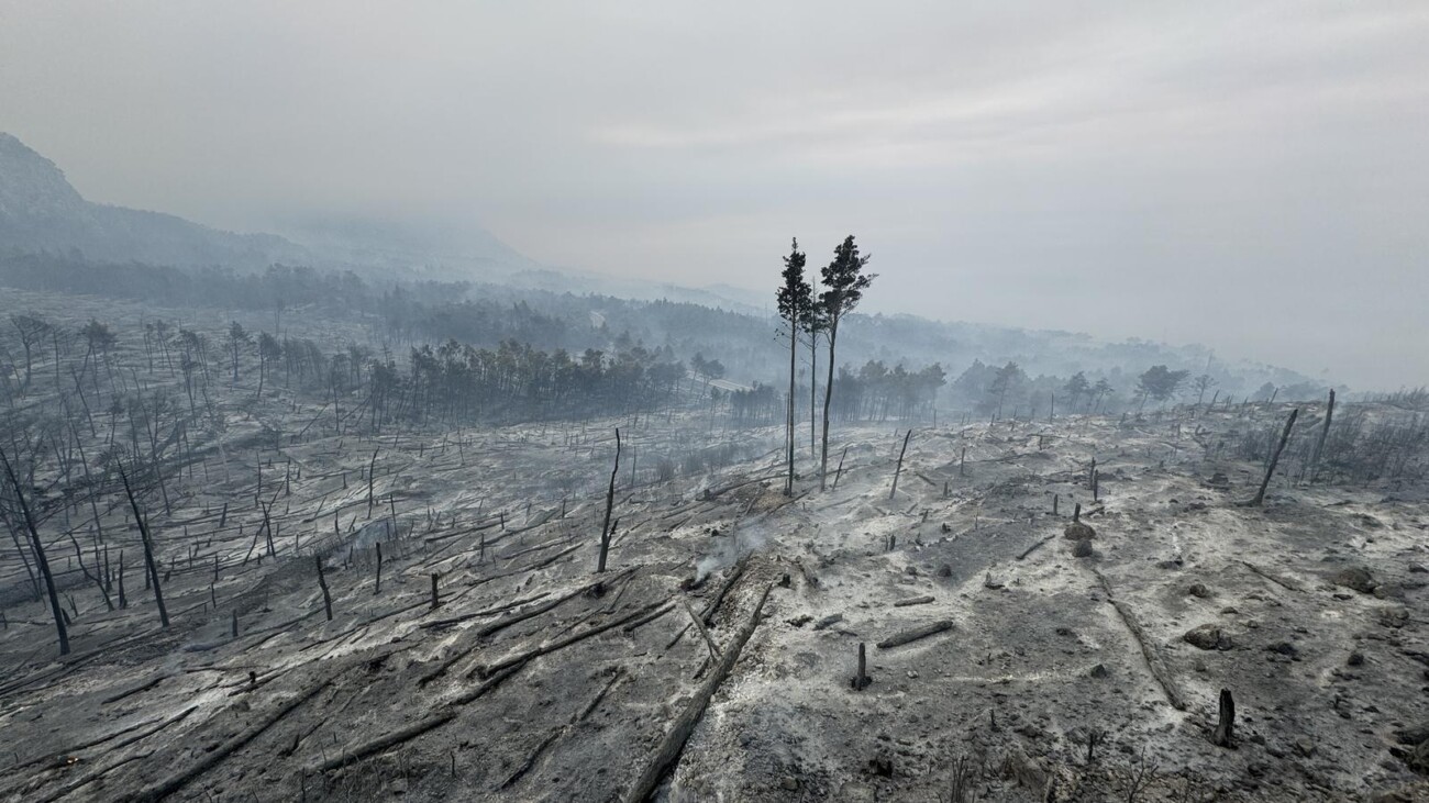 Makarska: Opožareno područje Parka prirode Biokovo Makarska: Opožareno područje Parka prirode Biokovo