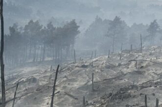 Makarska: Opožareno područje Parka prirode Biokovo