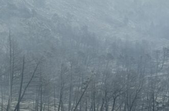 Makarska: Opožareno područje Parka prirode Biokovo