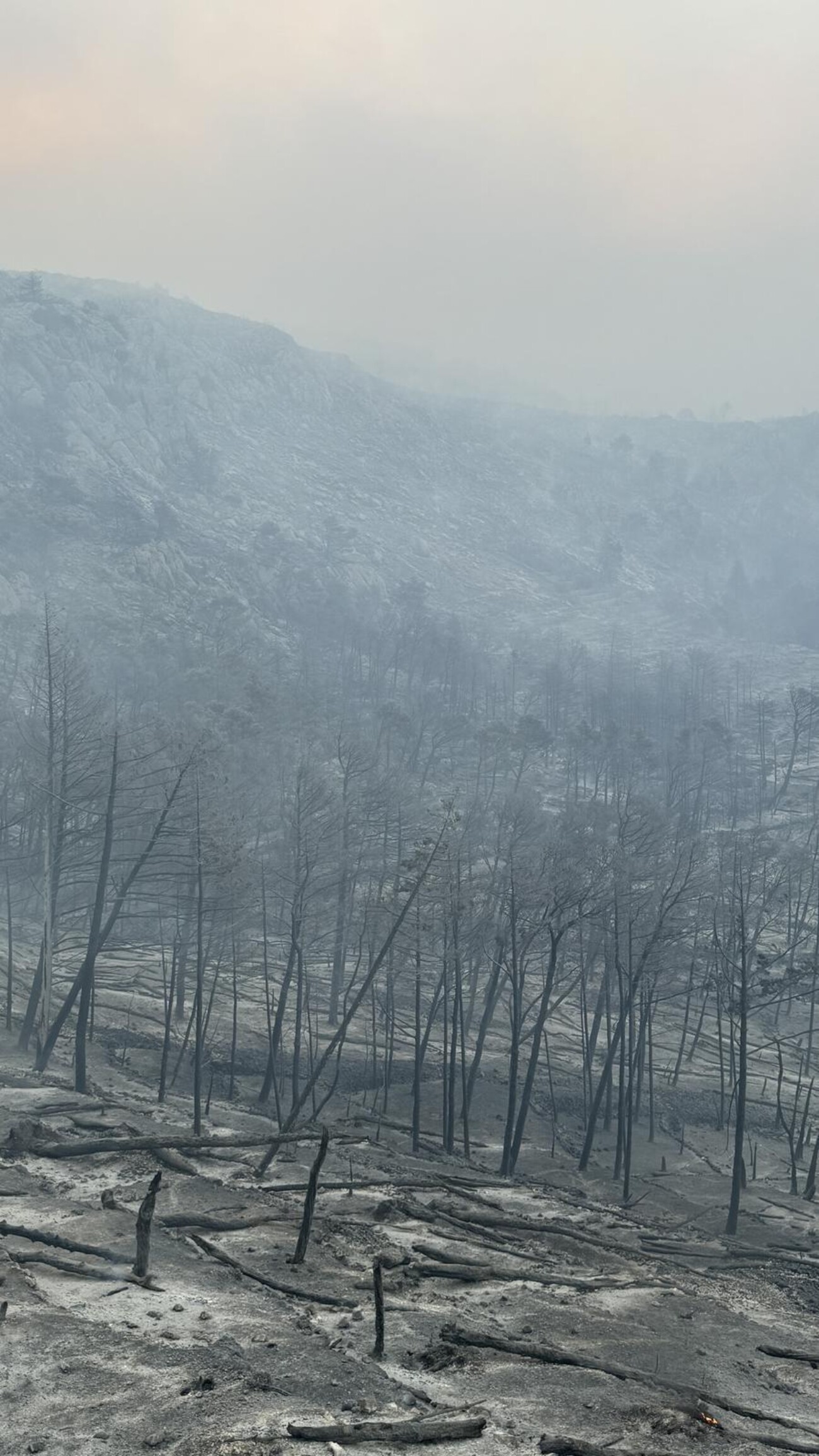 Makarska: Opožareno područje Parka prirode Biokovo Makarska: Opožareno područje Parka prirode Biokovo
