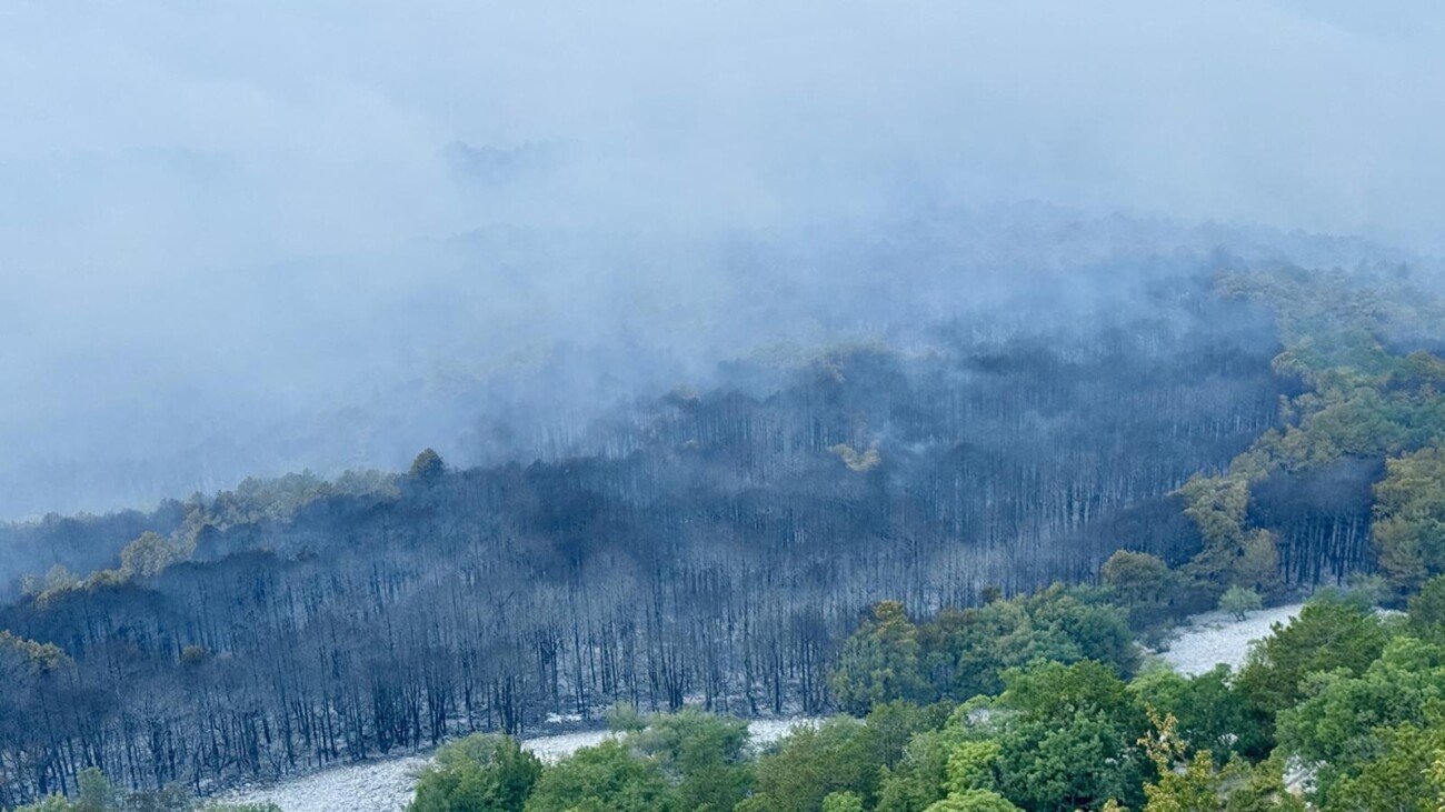 Makarska: Opožareno područje Parka prirode Biokovo Makarska: Opožareno područje Parka prirode Biokovo