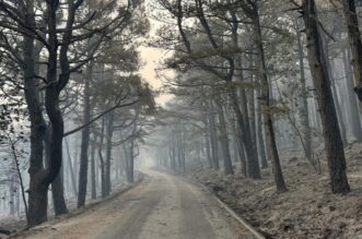 Makarska: Opožareno područje Parka prirode Biokovo