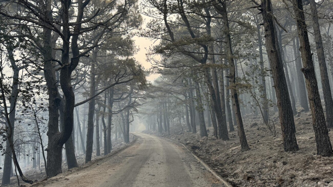Makarska: Opožareno područje Parka prirode Biokovo Makarska: Opožareno područje Parka prirode Biokovo