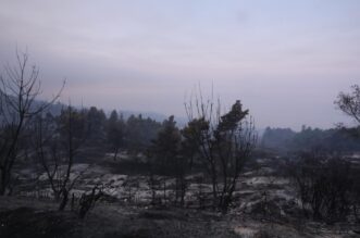 Makarska: Opožareno područje Parka prirode Biokovo