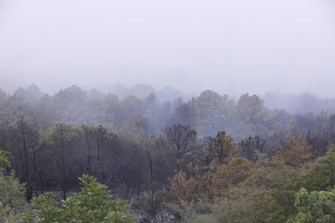Makarska: Opožareno područje Parka prirode Biokovo Makarska: Opožareno područje Parka prirode Biokovo