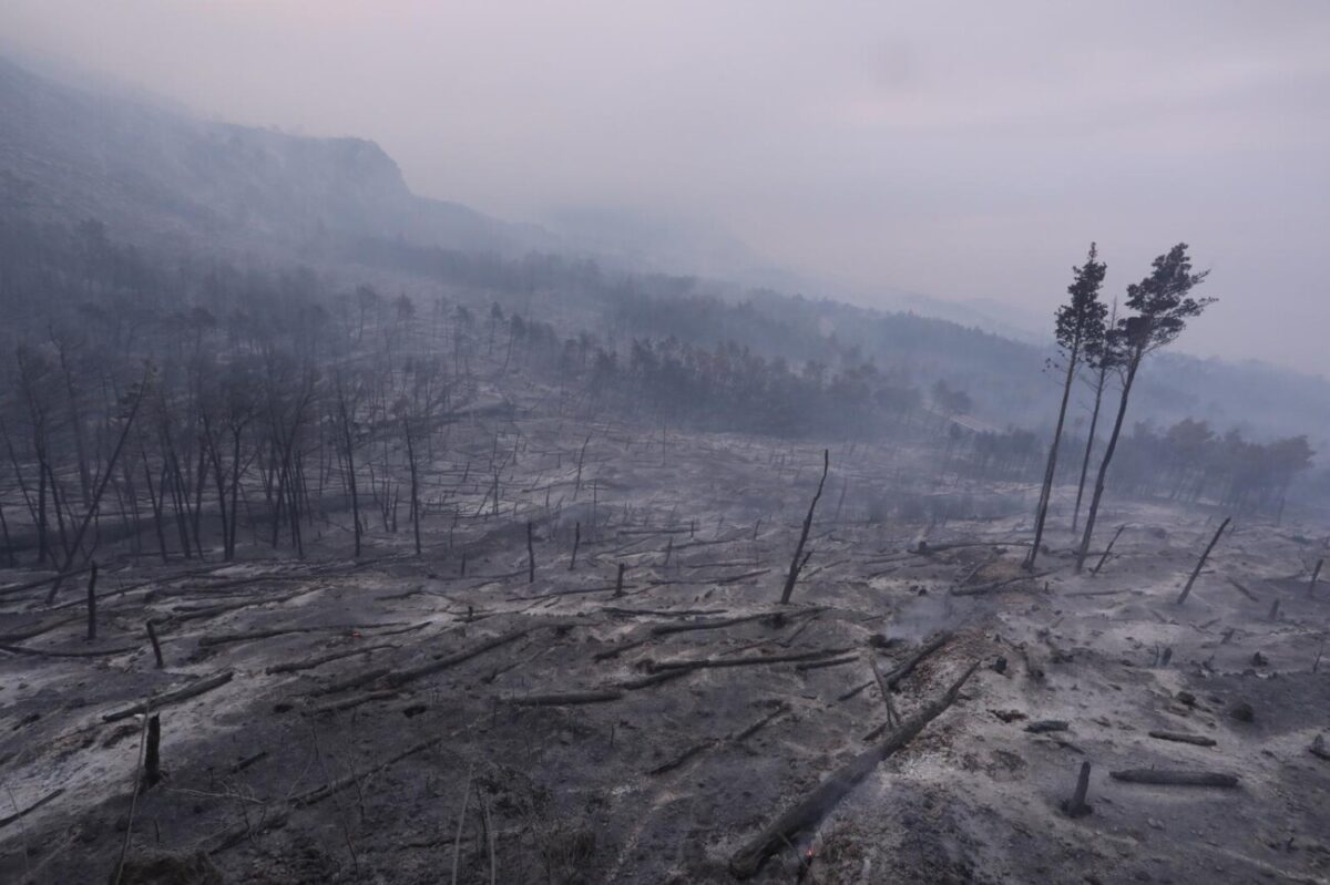 Makarska: Opožareno područje Parka prirode Biokovo