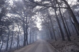 Makarska: Opožareno područje Parka prirode Biokovo