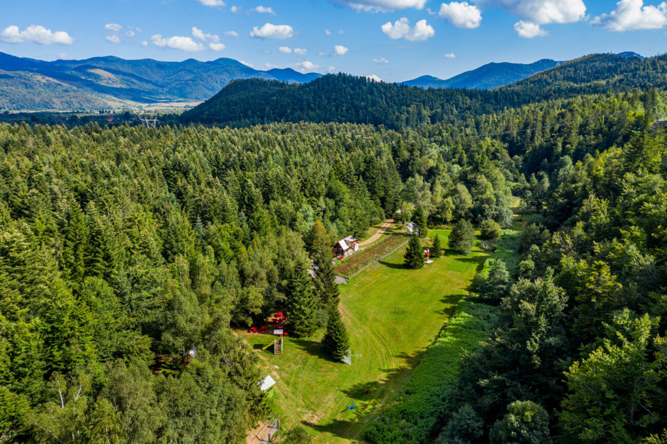 Šumska-bajka-Lič-11 Šumska-bajka-Lič-11