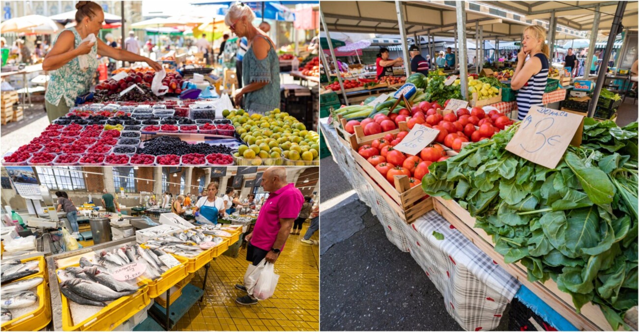 TRŽNICA RIBARNICA 310724 NASLOVNA