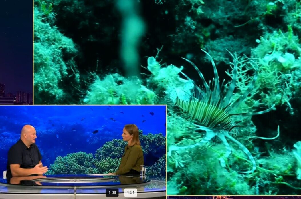 Otrovne tropske ribe doselile u Jadran: Morski biolog objasnio što se ...